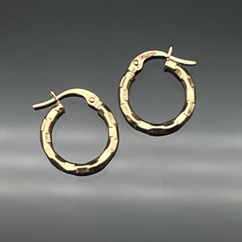 گوشواره حلقه ای 