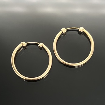 گوشواره حلقه ای کارتیر