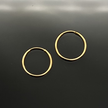 گوشواره حلقه ای 